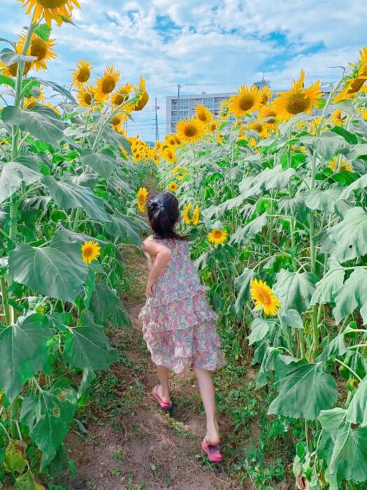 なぜ真夏にインフルエンザが流行る？考えられる理由とわが家の対策