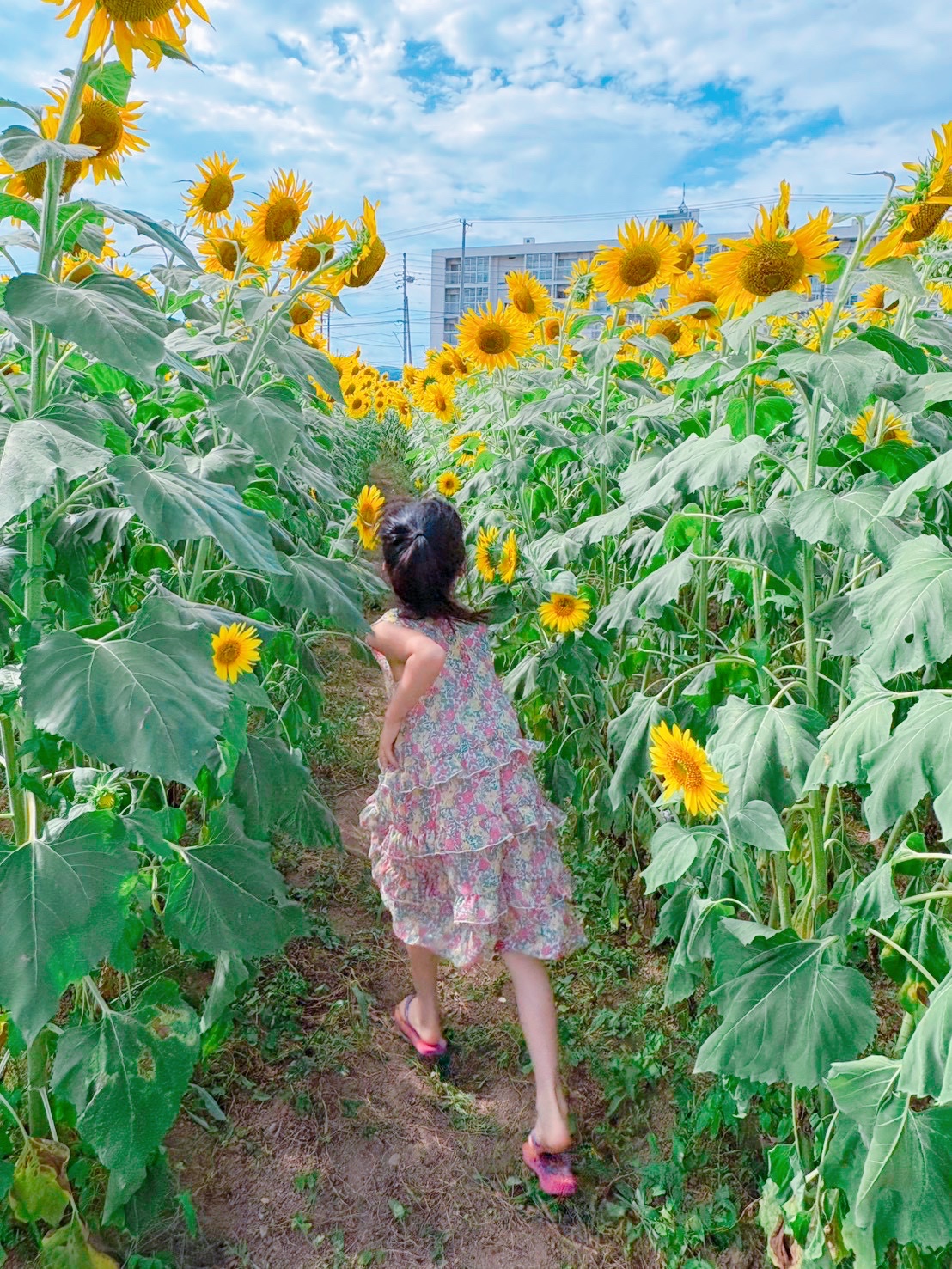 なぜ真夏にインフルエンザが流行る？考えられる理由とわが家の対策