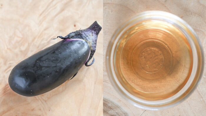 「ナスと白だしがあったらやってみて」メイン食材はナスだけ！火を使わず簡単！ミツカン公式レシピ