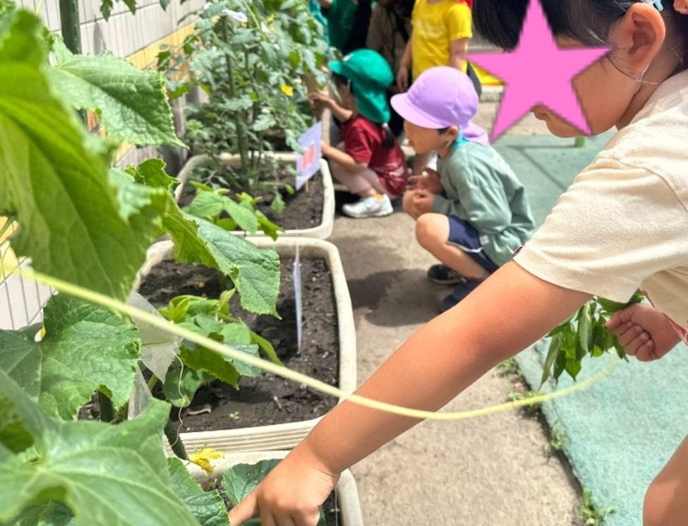 ごめんなさい…幼稚園の係を無断欠席してしまった話