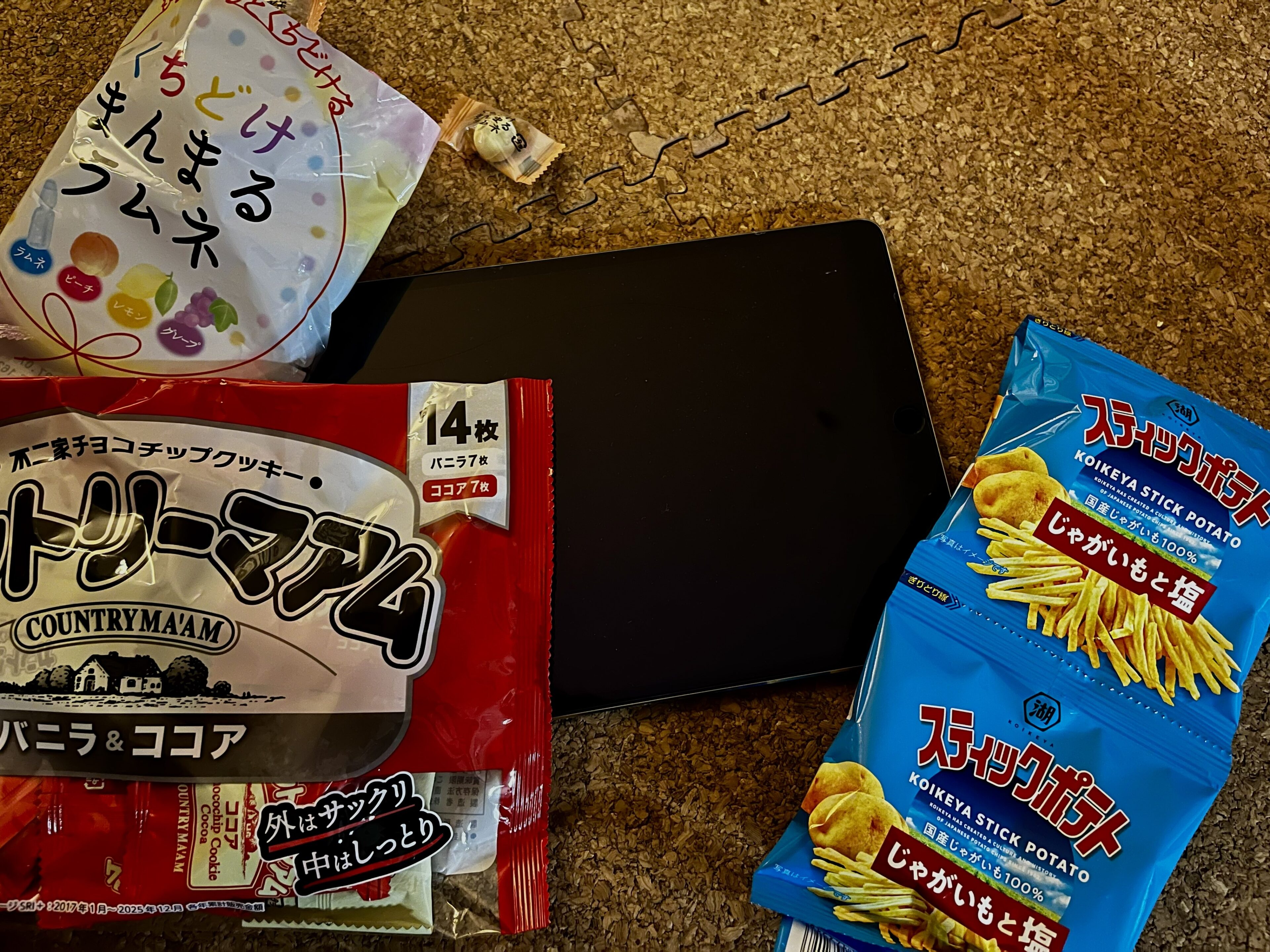 ない方がラクだった！？我が家の新幹線旅行