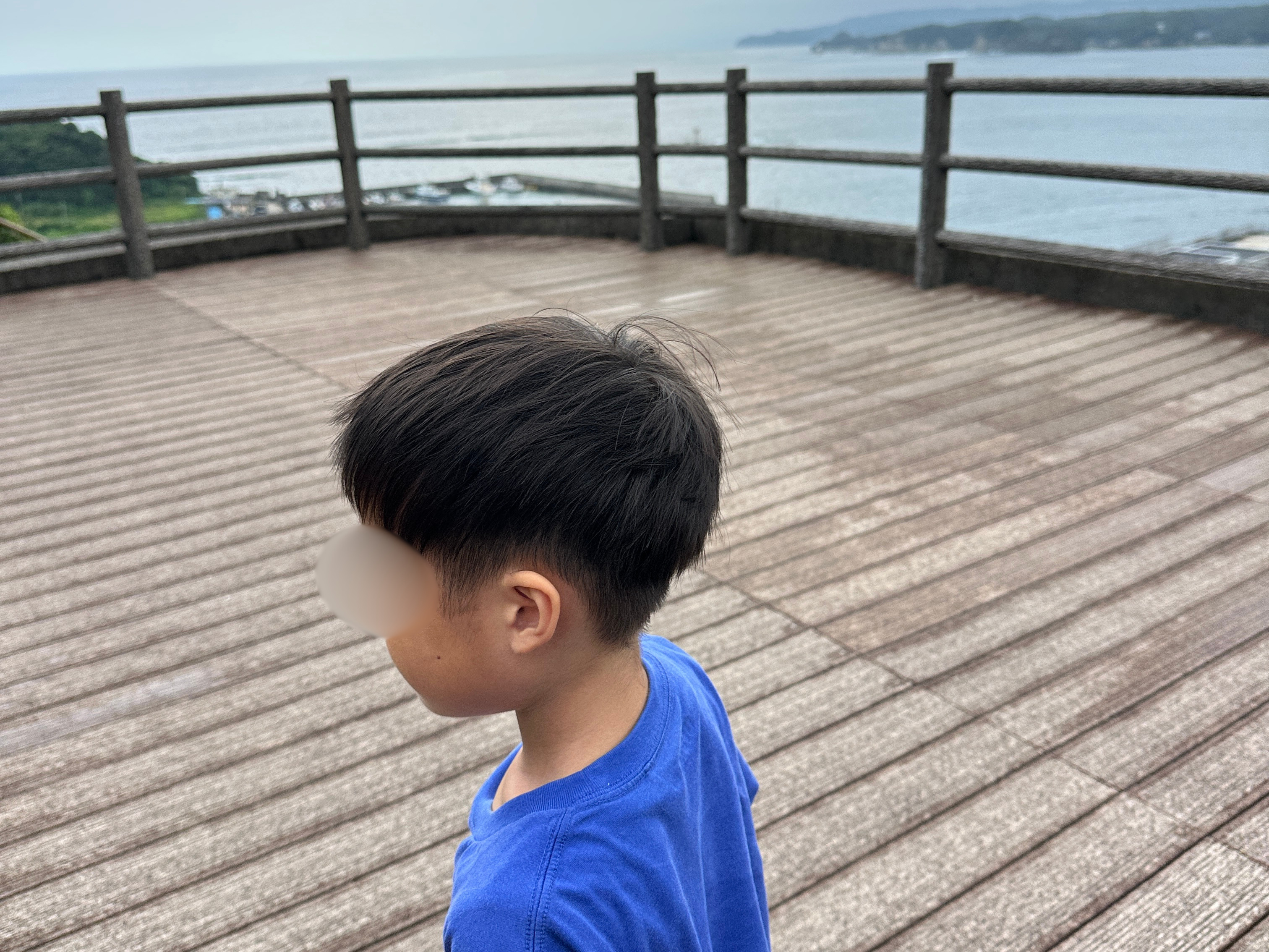 「ここサササ佐渡島です♪」5歳息子が口ずさむ歌の正体