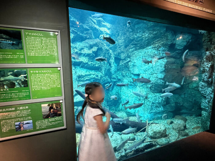 【岐阜県】アクア・トト ぎふ｜巨大な淡水魚にびっくり！子どもと楽しむ水族館