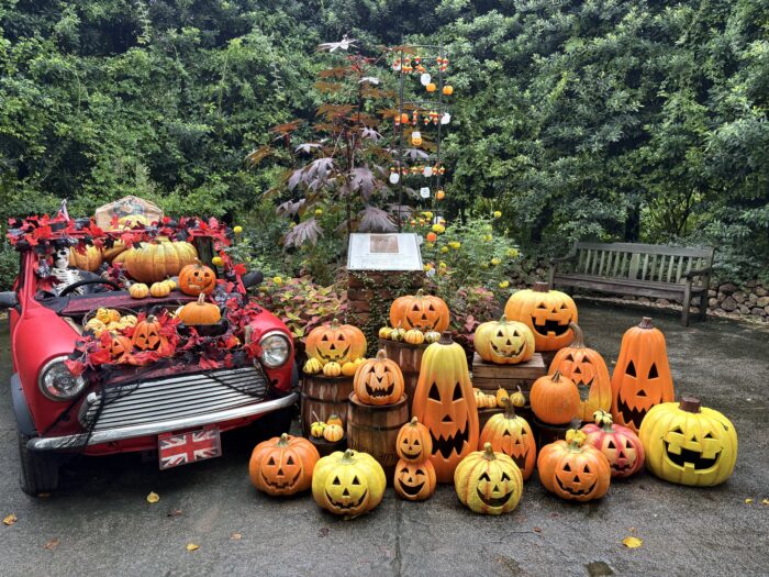 【横浜】ハロウィン仕様のイングリッシュガーデンの楽しみ方