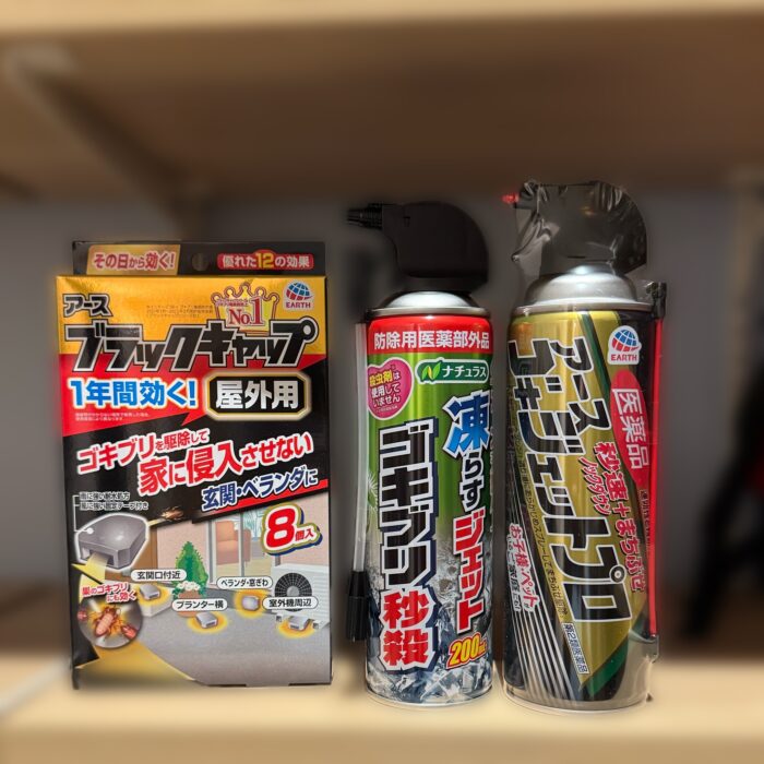 新築なのにGが出た！引っ越し当日に遭遇した恐怖の体験談