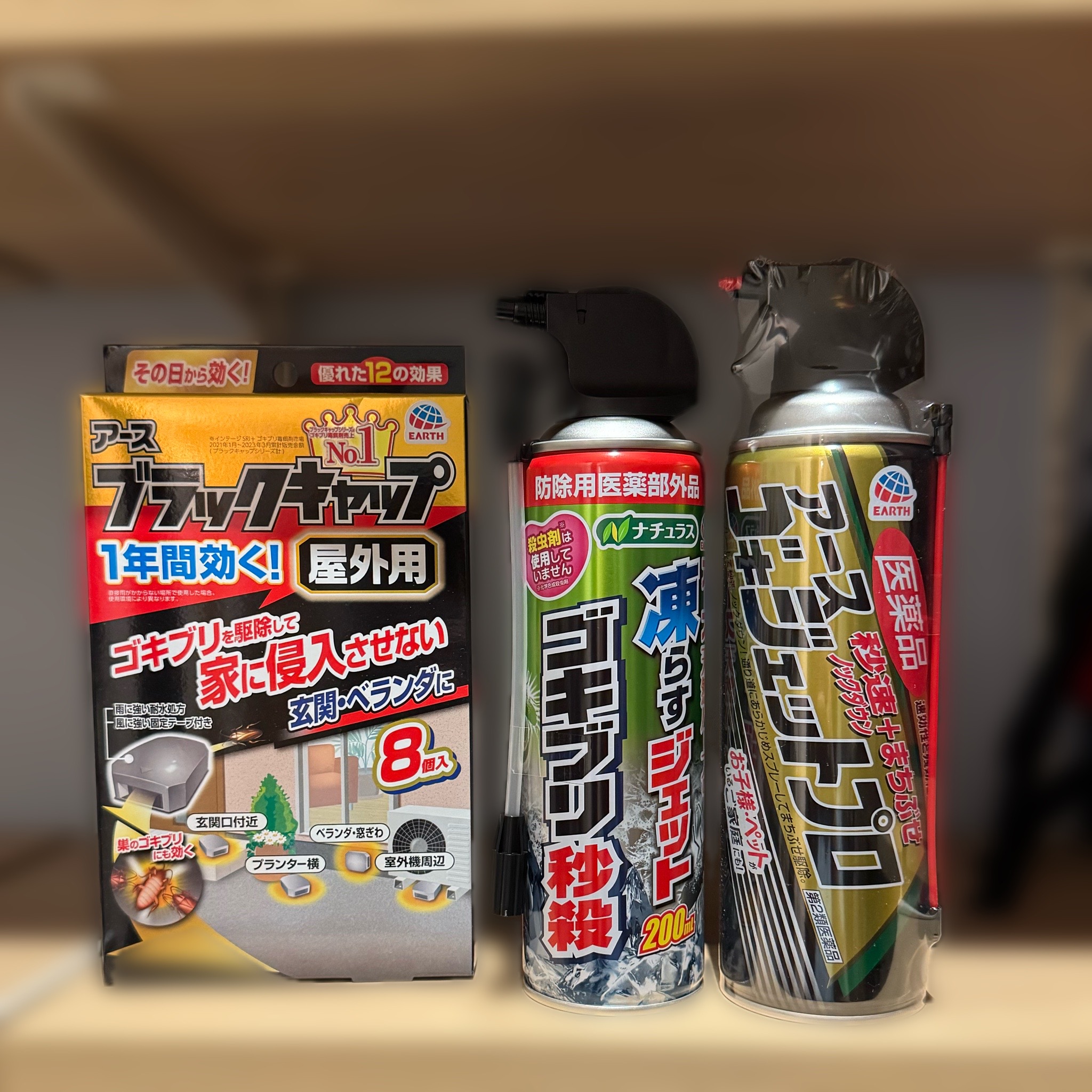 新築なのにGが出た!引っ越し当日に遭遇した恐怖の体験談